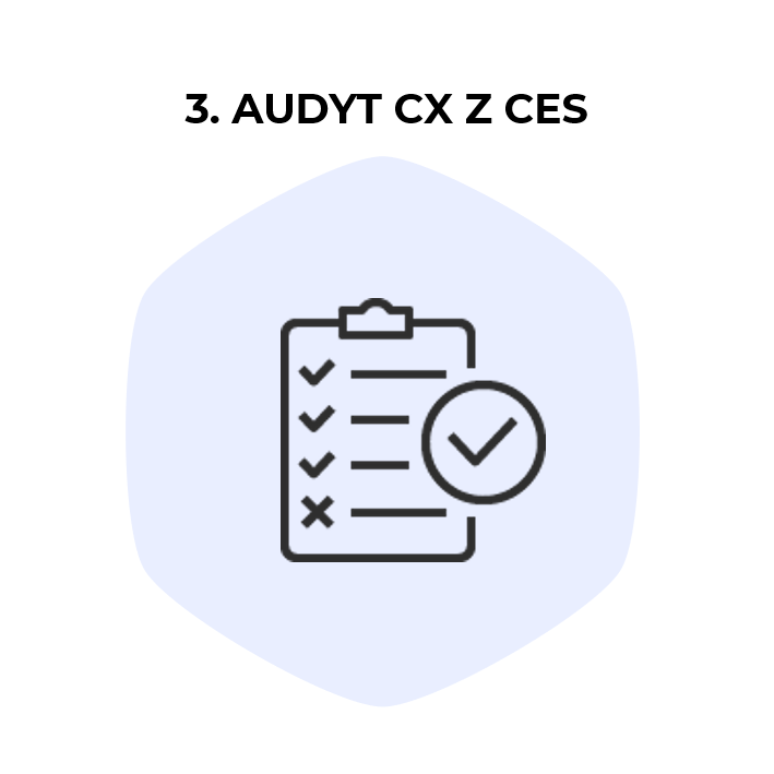 Przeprowadzenie audytu CX Customer Experience z CES - oferta Profes
